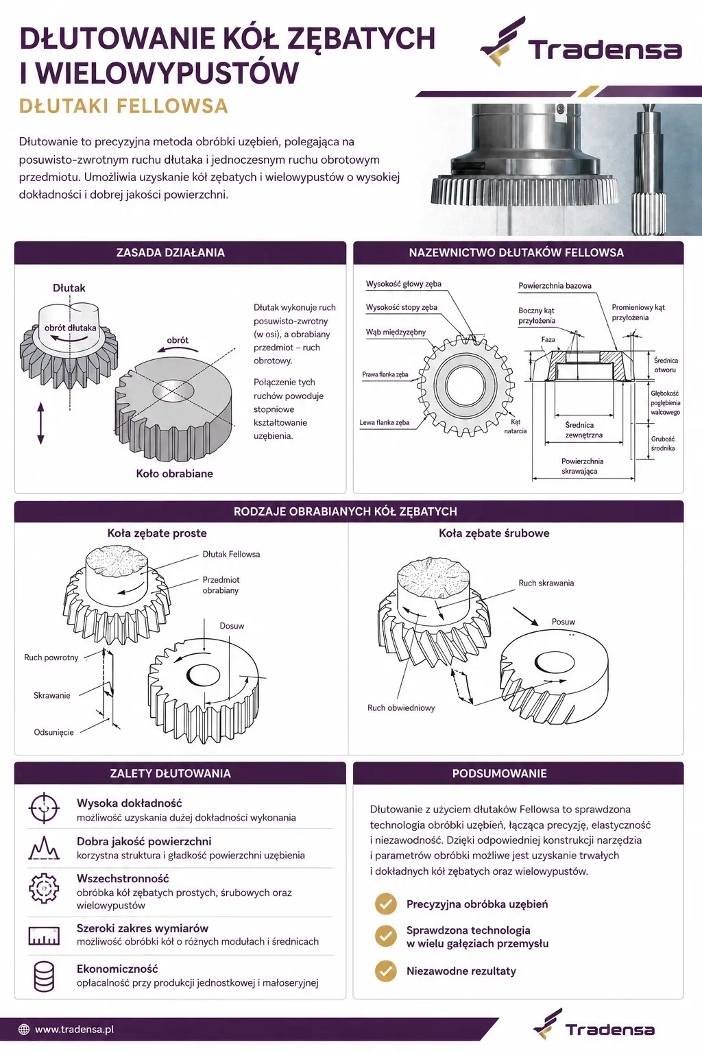 infografika-dlutowanie-kol-zebatych-i-wielowypustow-fellowsa.webp